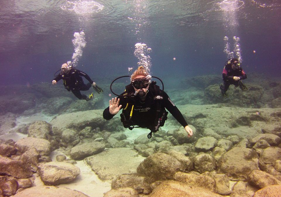 PADI Open Water Diver Course, PADI Recreational Courses, Crest, Dive, underwater, our best stories