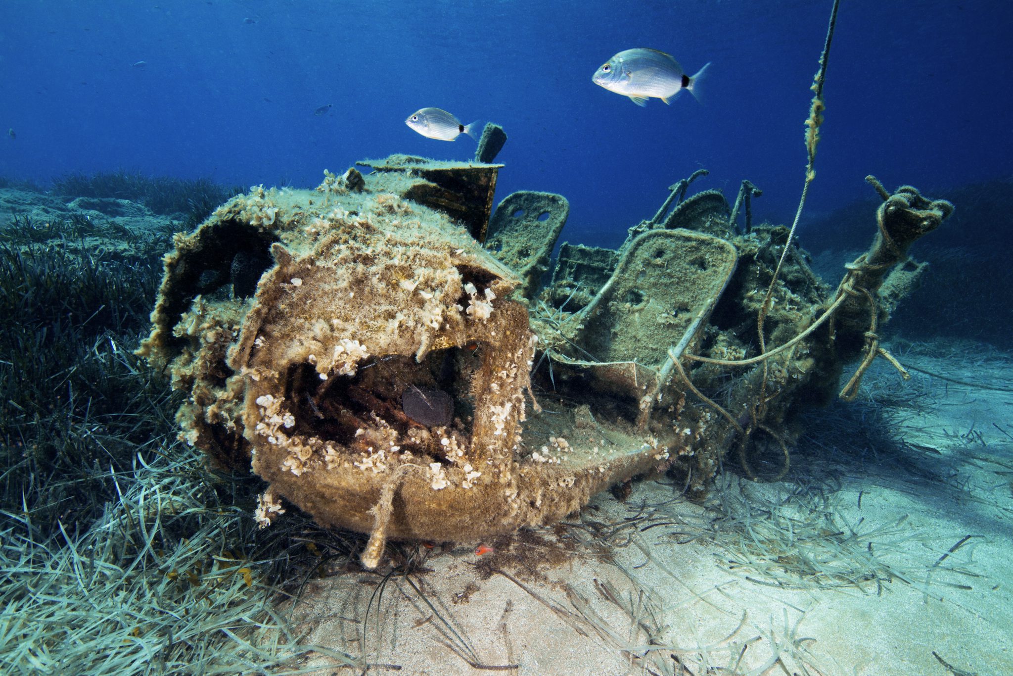 Подводный мир кипра
