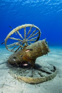 Akrotiri, Crest Dive, canon, fish reserve, crystal clear