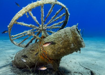 Akrotiri, Crest Dive, canon, fish reserve, crystal clear