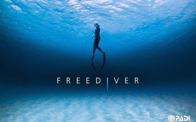 My Freediving Journey