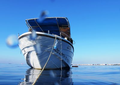 Crest, Dive, Crest, Boat, sea, splash, family-run dive centre