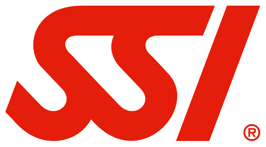 SSI Image 